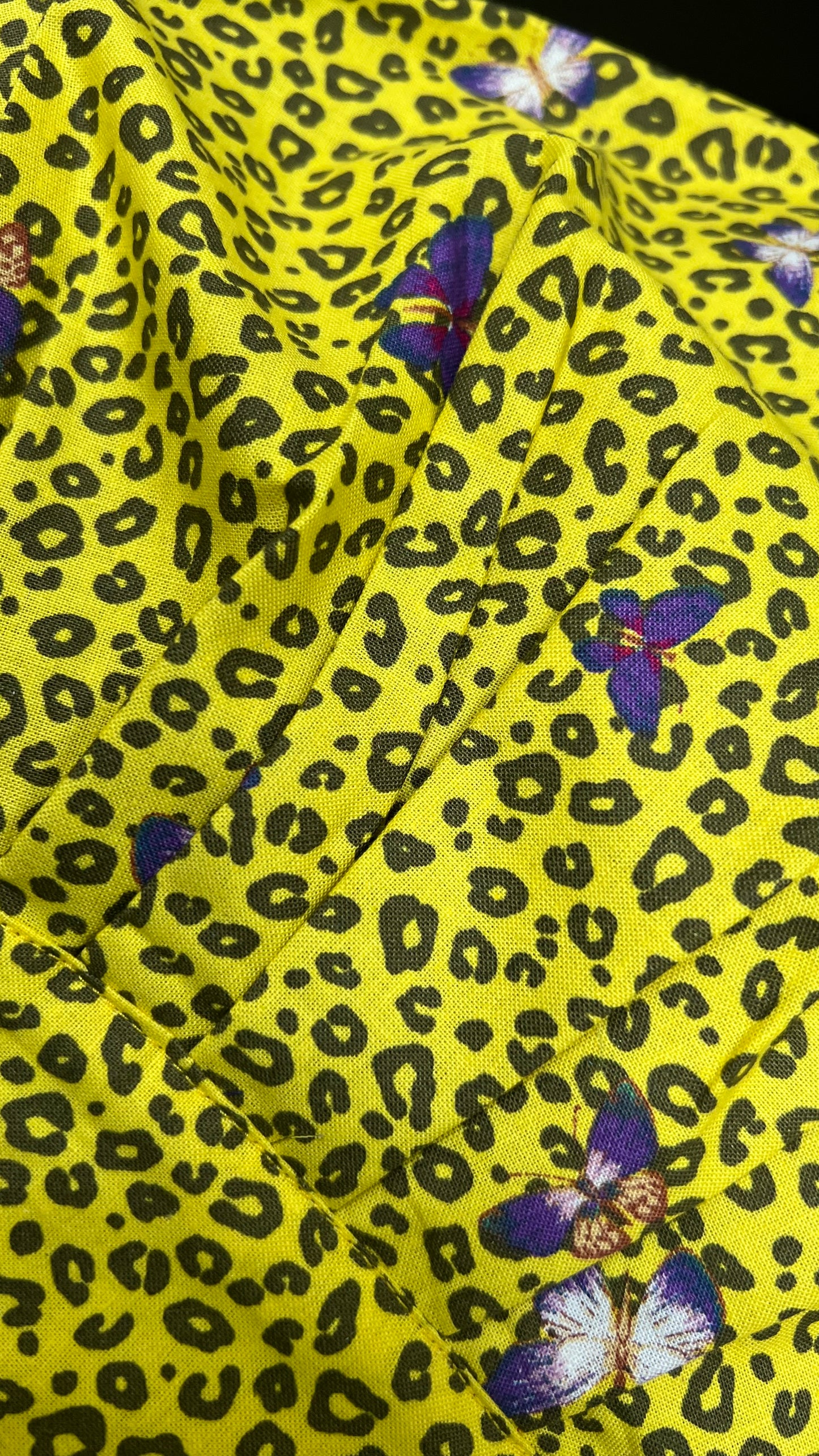 Camouflaged Butterflies